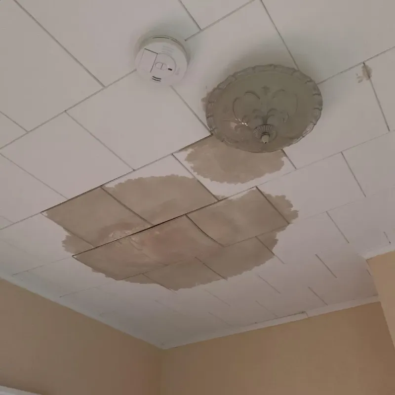 Ceiling Water Damage Repair in Sistersville, WV