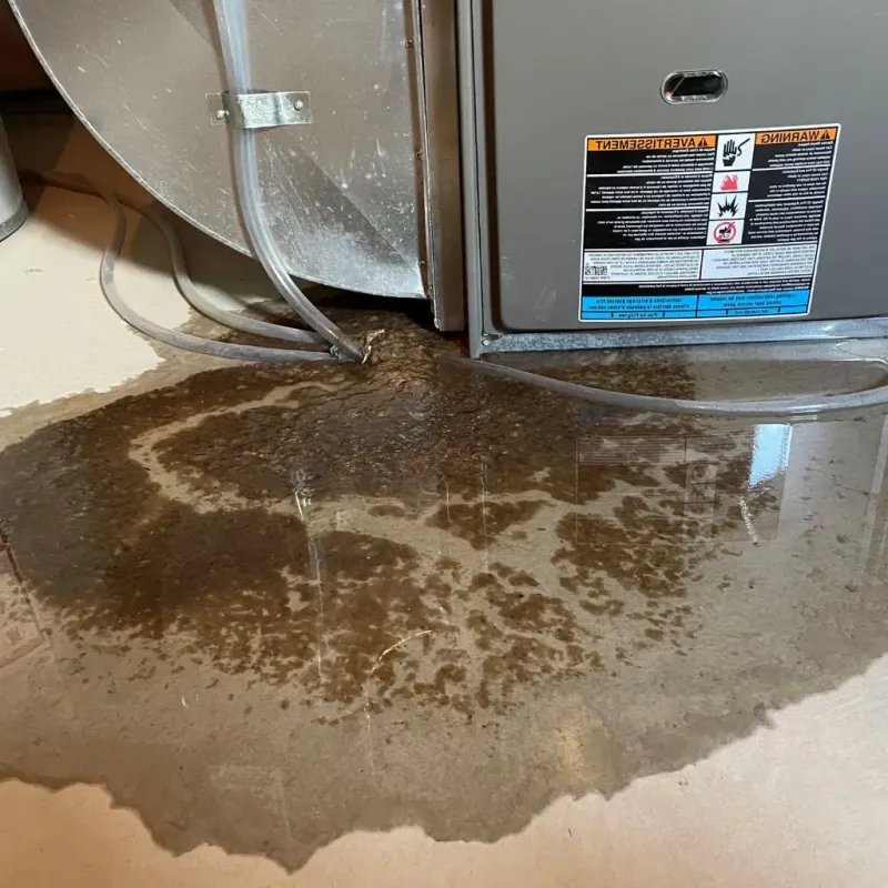 Pipe Burst and Leak Restoration in Sistersville, WV