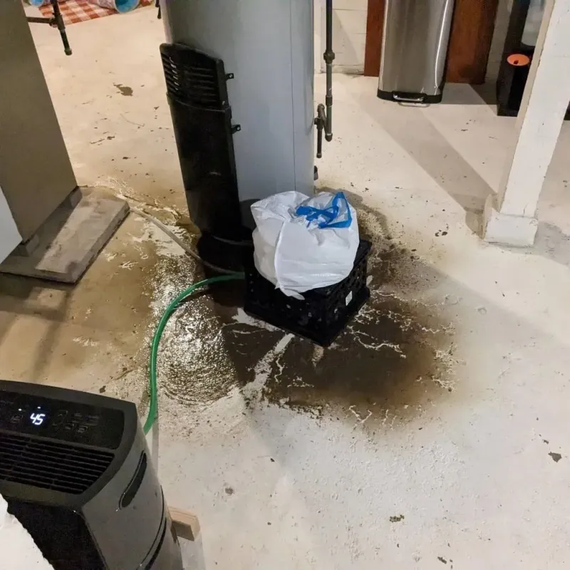 Sewage Backup Cleanup Service in Sistersville, WV